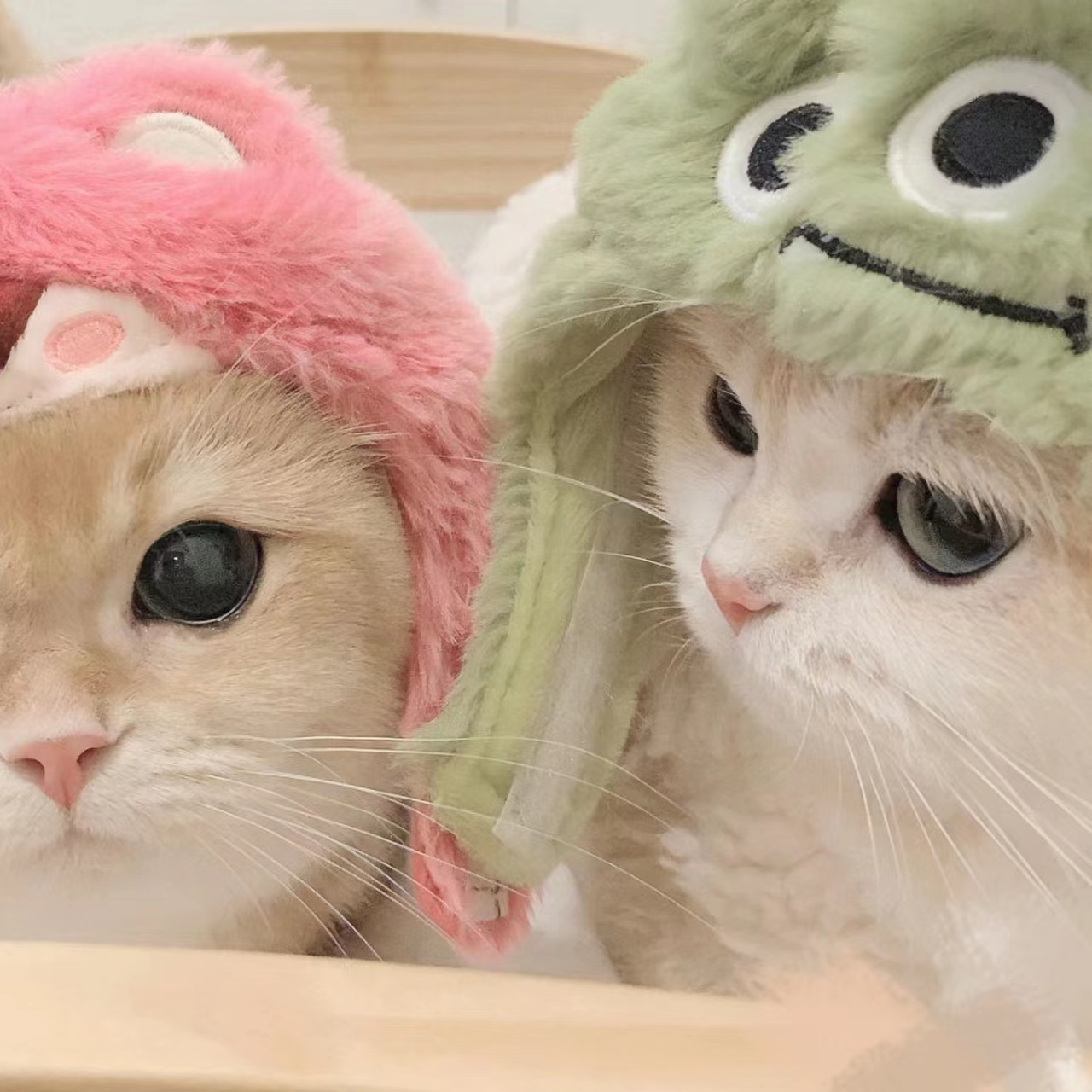 港澳最快开场直播APP应用